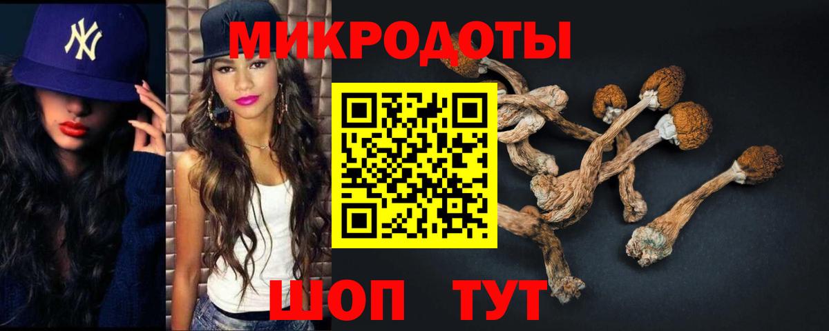 Псилоцибиновые грибы Cubensis  Вход с VPN  Каменка 